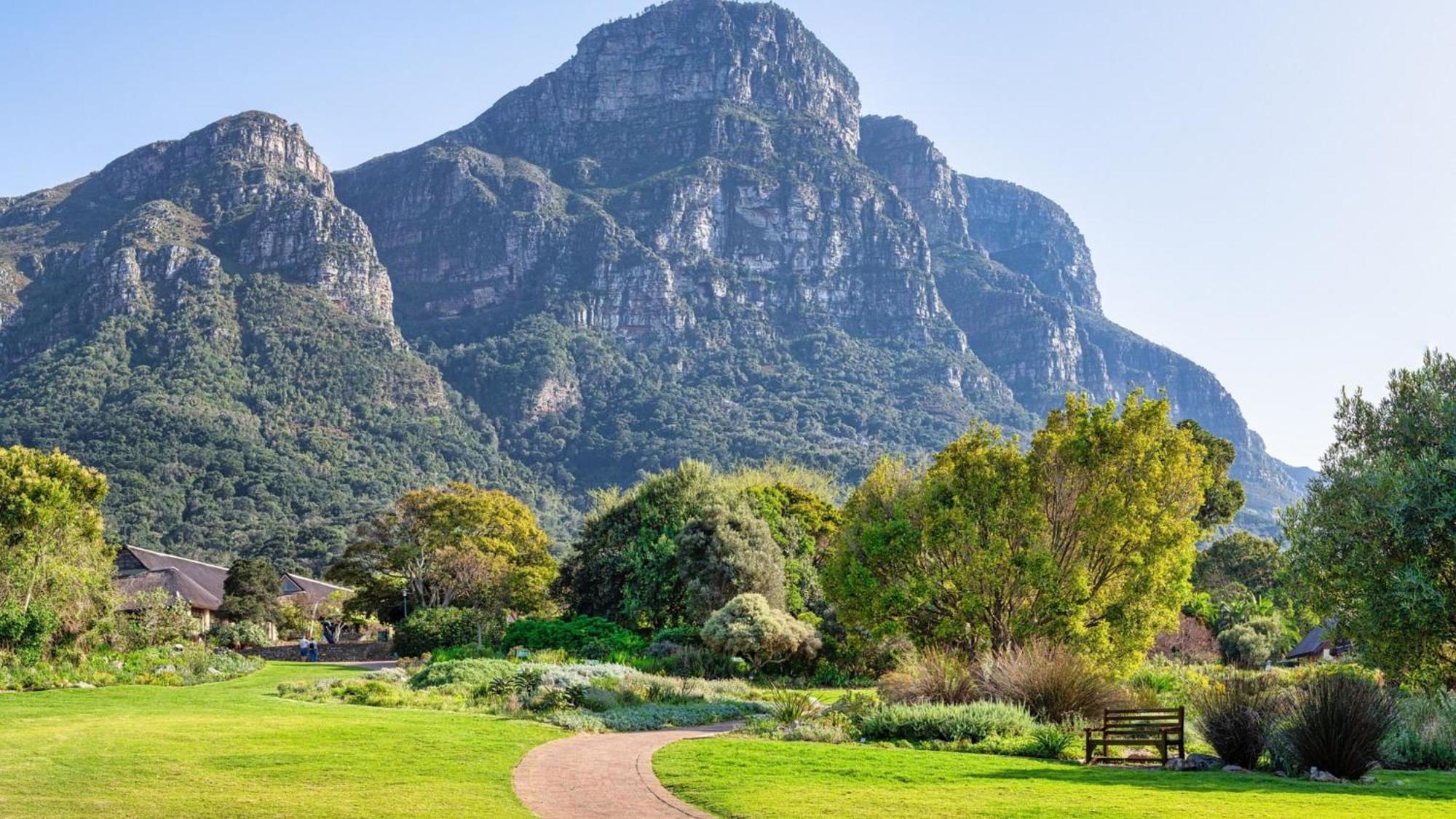 Holiday Inn Express Cape Town City Centre By Ihg Εξωτερικό φωτογραφία